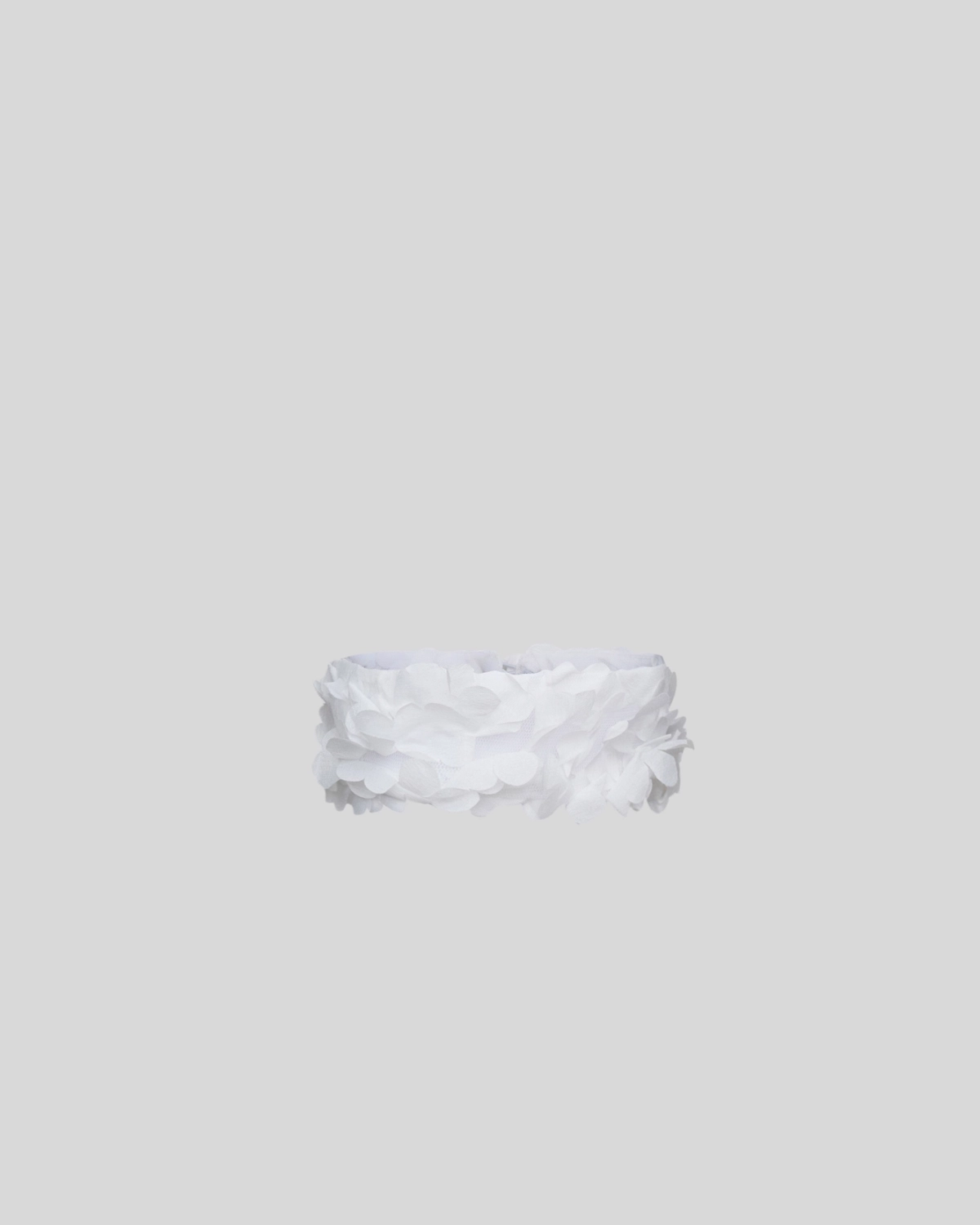 Additional image 27